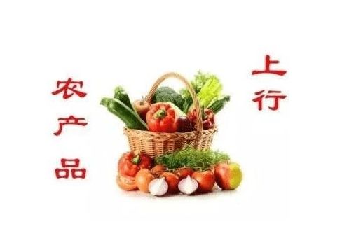 農產品上行的關鍵要素 助力初級農產品流通增值