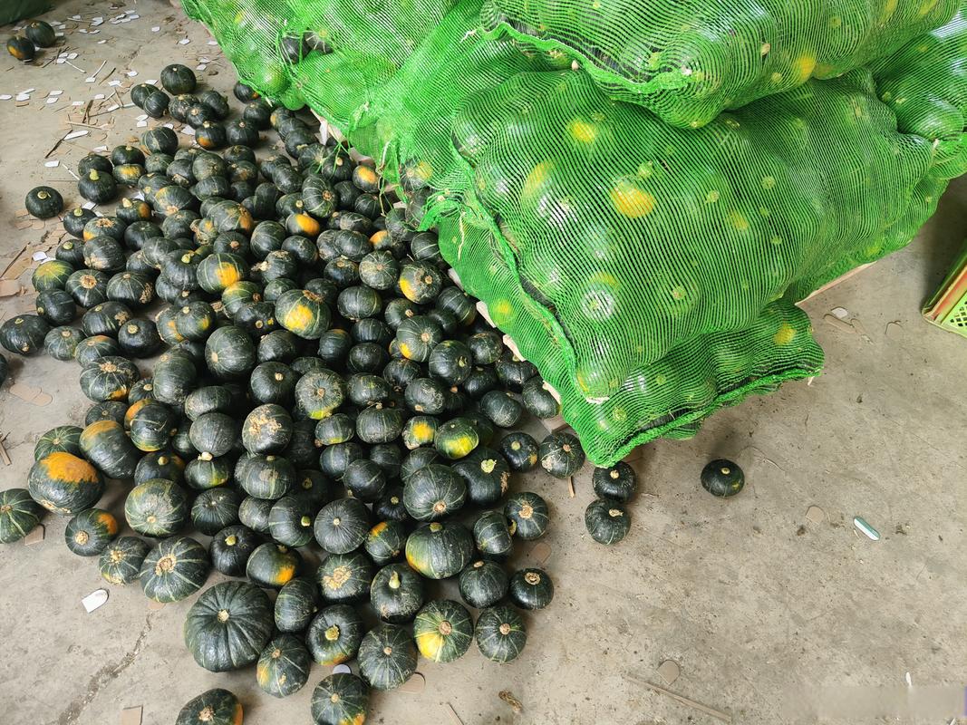 單品極致化 農產品供應鏈倉庫的專業化運營之道