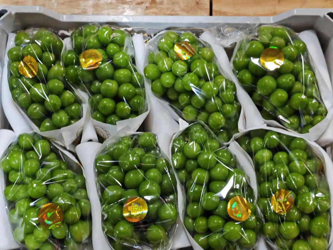 包裝袋都不夠大的大串大顆粒，總行了吧