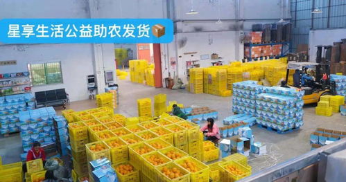 壟上產(chǎn)銷(xiāo)聯(lián)盟搭橋，初級(jí)農(nóng)產(chǎn)品銷(xiāo)量破170萬(wàn)斤走紅市場(chǎng)