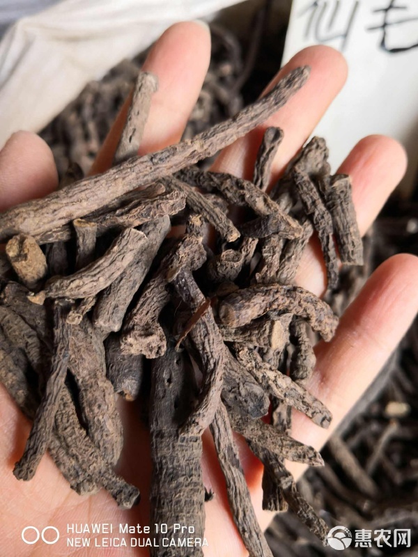 仙茅 優(yōu)質(zhì)初級(jí)農(nóng)產(chǎn)品，量大從優(yōu)，健康養(yǎng)生的明智之選